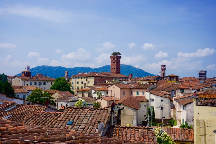 Gazing onto the rooftops of Lucca, Italy.