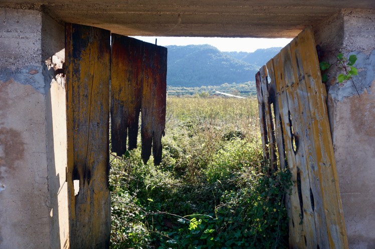 Every open door presents an opportunity, Stari Grad, Croatia