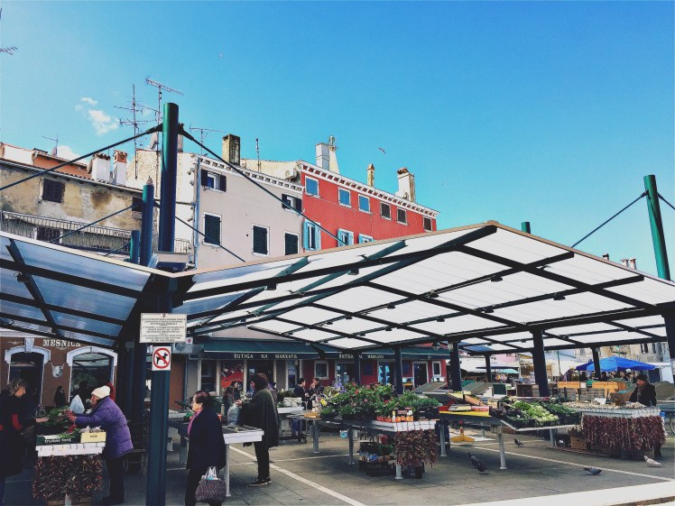 hipstamaticphoto-544788521.019951